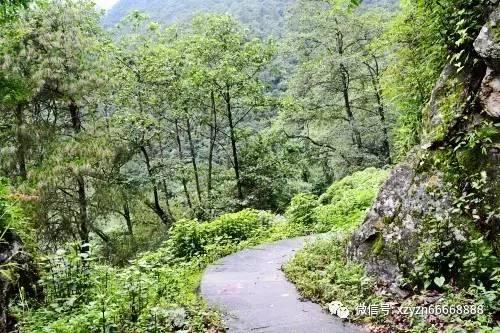 俗话讲“男怕三摇头,女怕阔步走”,啥意思?真的有道理吗