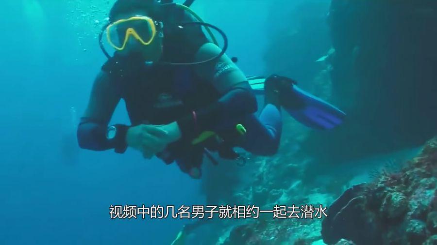 皇帝 真心对待 老婆 还是 追的到的吧游戏画面